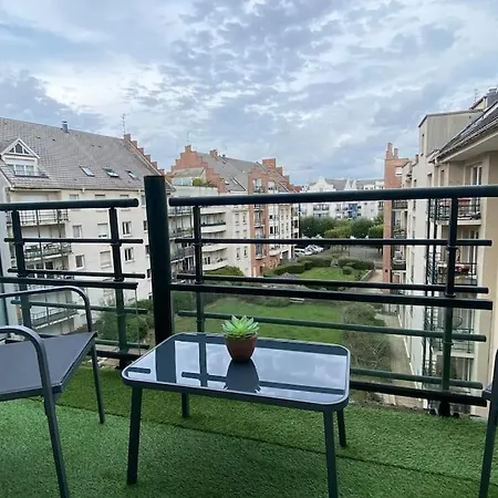 Lison - Renove 2023 Vieux *