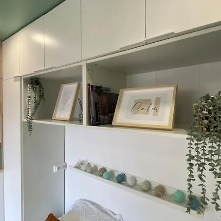 Lison - Renove 2023 Vieux 里尔