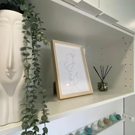 Lison - Renove 2023 Vieux 里尔