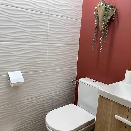 Lison - Renove 2023 Vieux 里尔